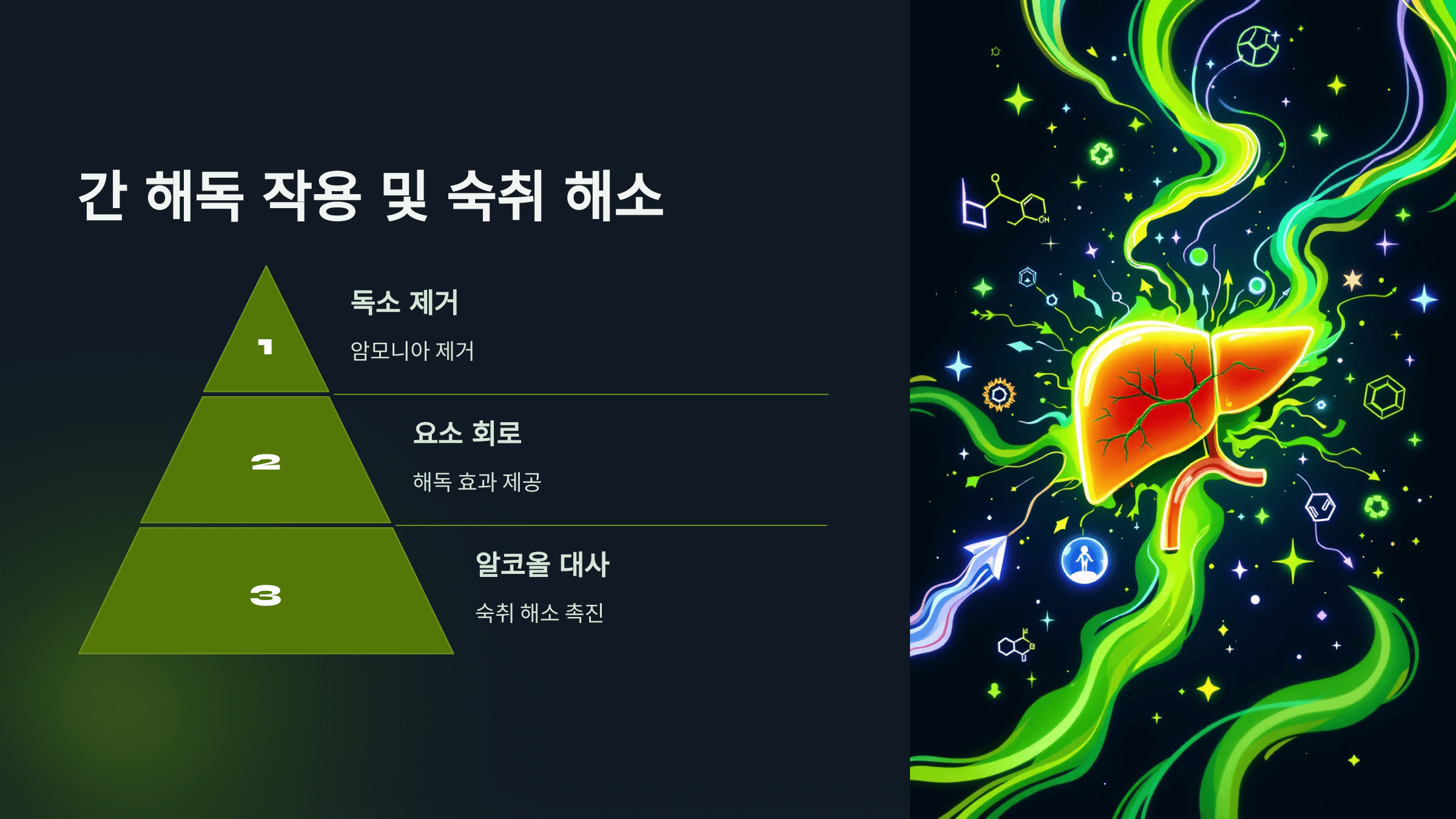 아르기닌과 관련된 사진입니다.