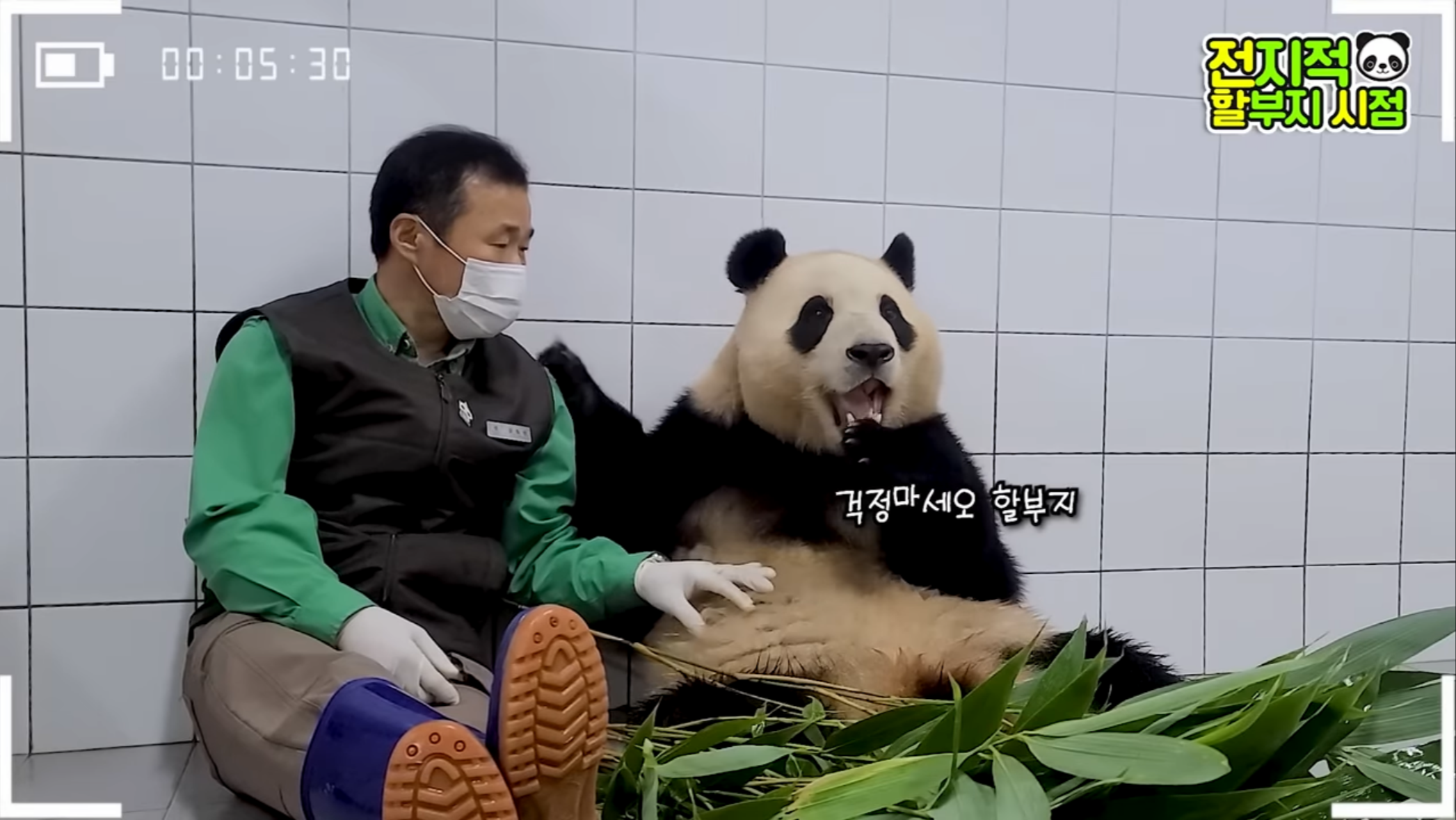 edited_KakaoTalk_20230728_100459485_05