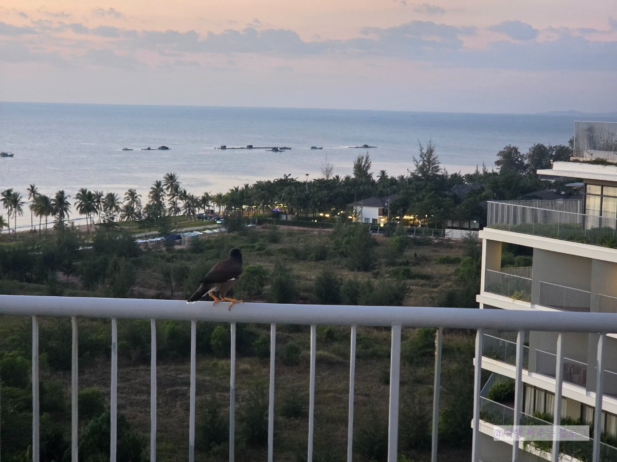 #푸꾸옥 베스트웨스턴