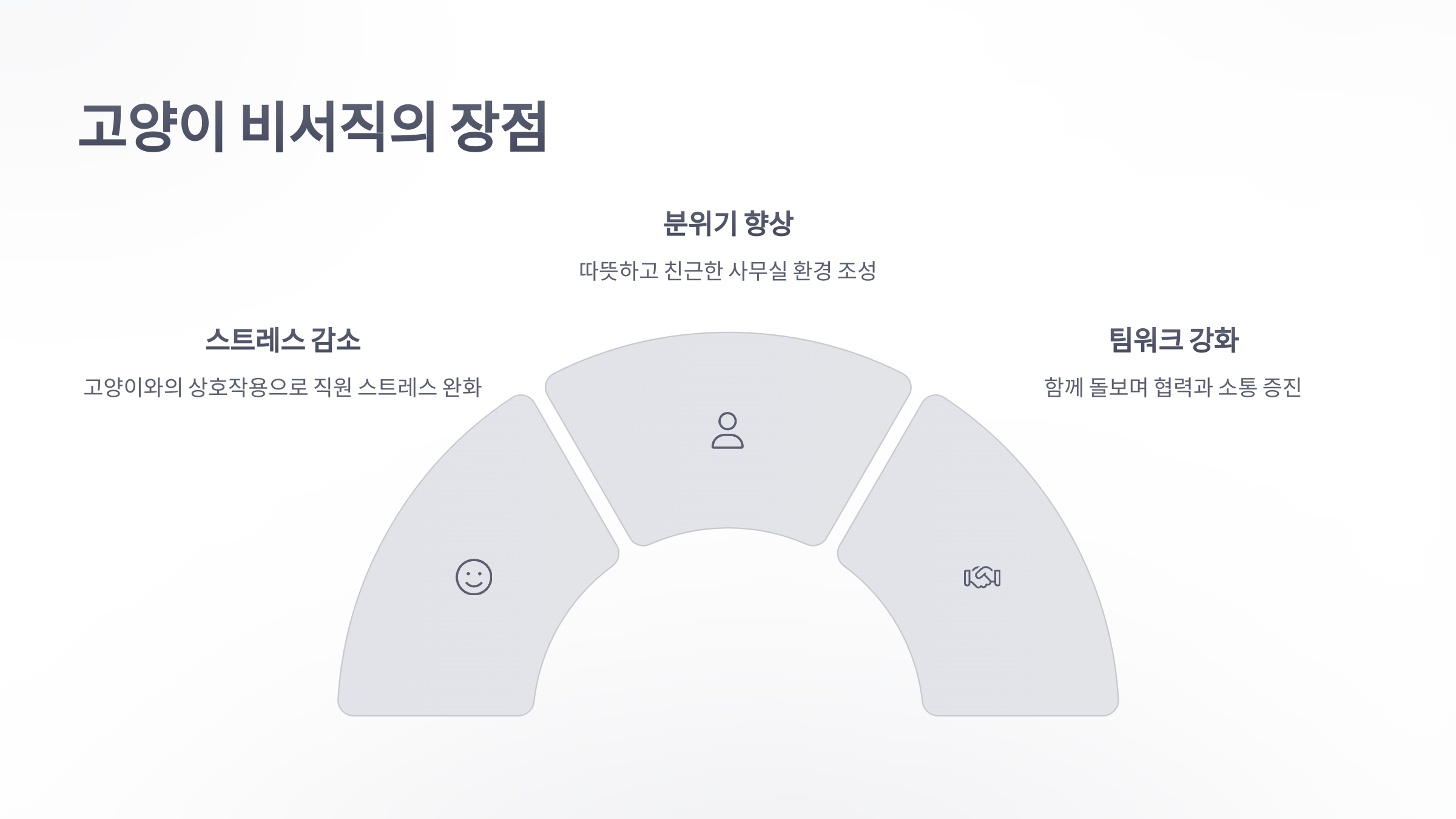 참조-고양이-비서직-4