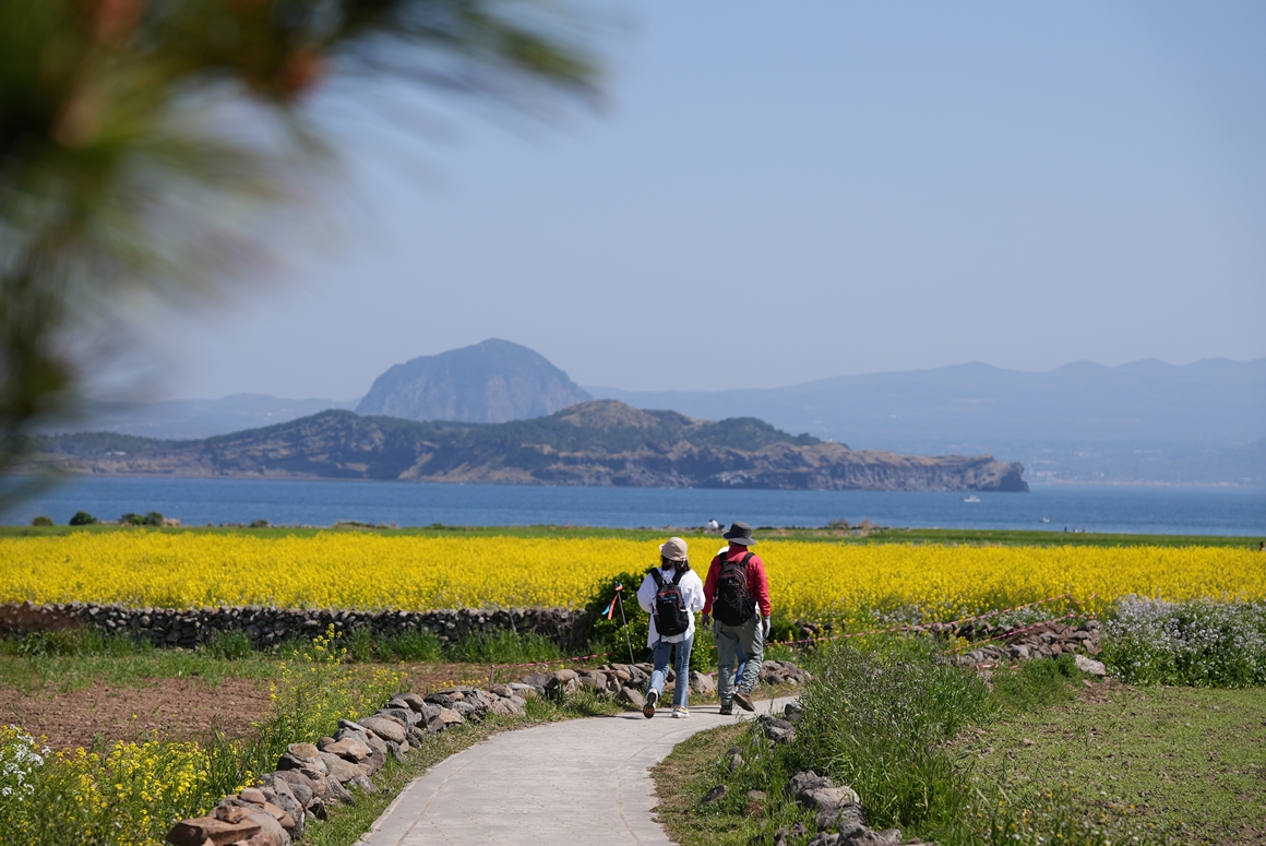 가파도 청보리축제 지도