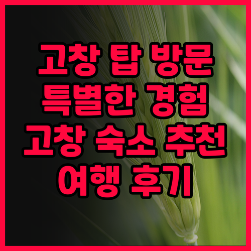 고창 탑 방문 후기, 특별한 경험을 ..
