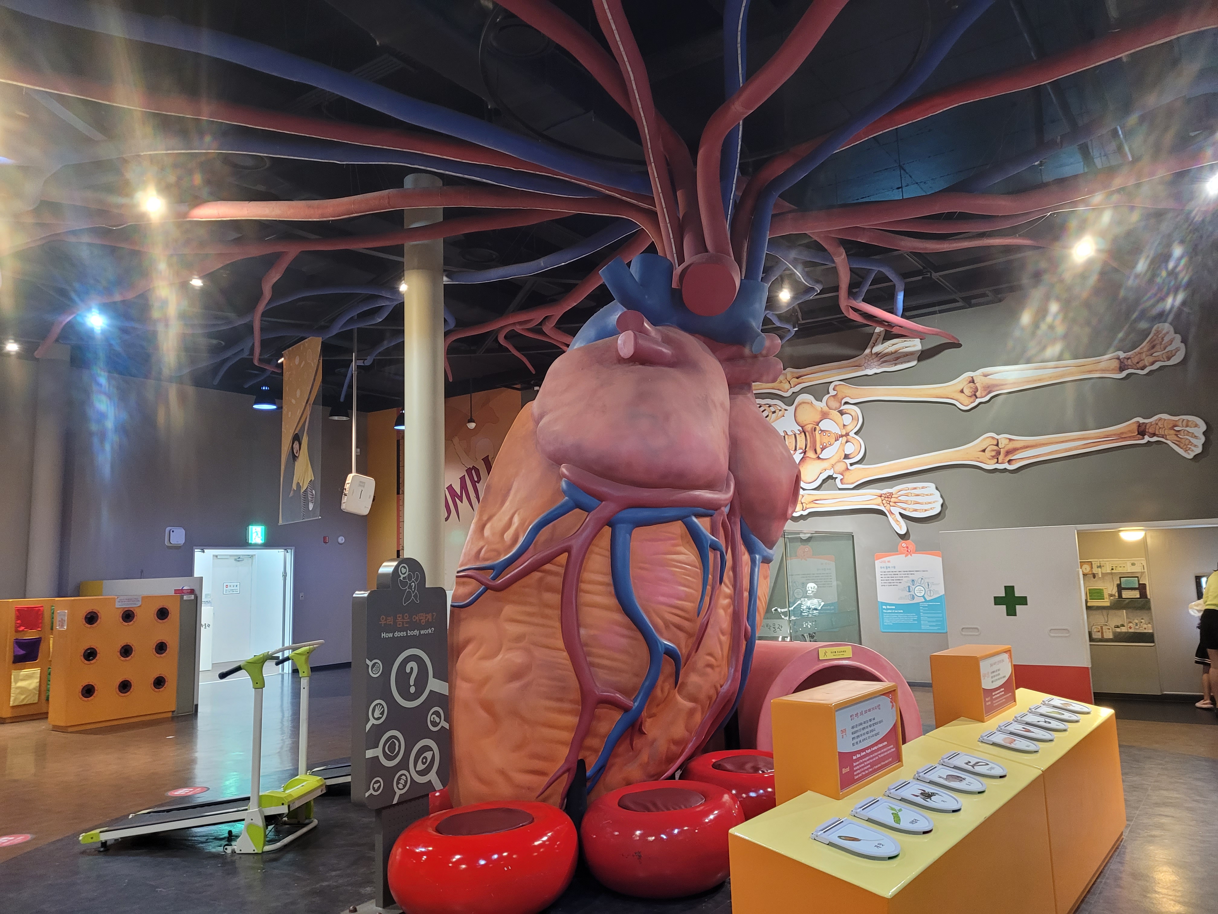 우리 몸은 어떻게? 폐