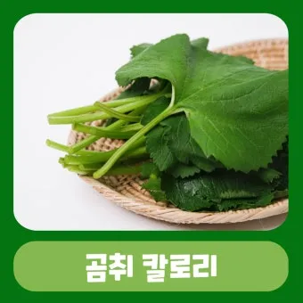 곰취 먹는방법 쌈 무침 장아찌 만드는법 요리 데치는방법_21