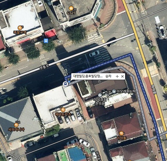 다음지도 스카이뷰