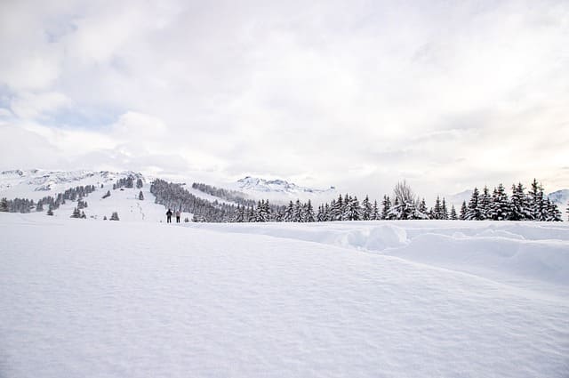 강원도 스키장 리조크