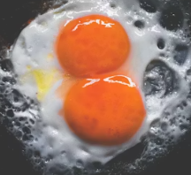 비타민K가 많은 음식