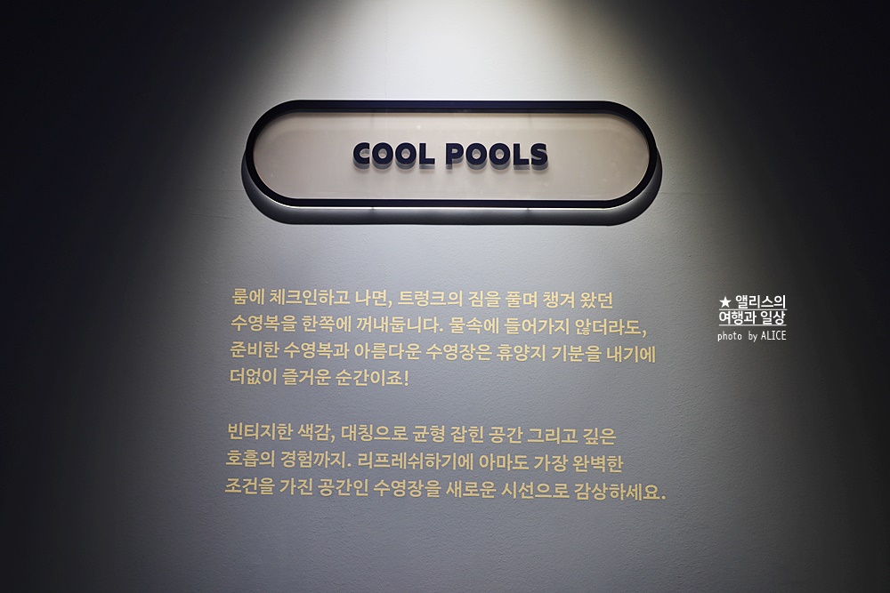 우연히 웨스 앤더슨 전시 추천, 그라운드 시소 성수