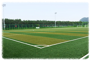 보령스포츠파크