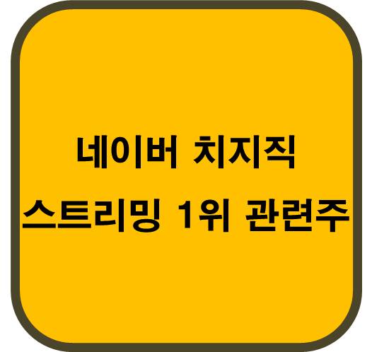 네이버 치지직 스트리밍 1위 관련주 5종목
