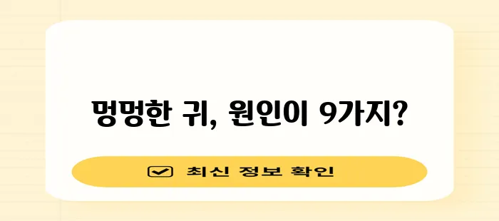 귀가 멍멍한 이유 9가지 확실히 알아봐야 합니다!