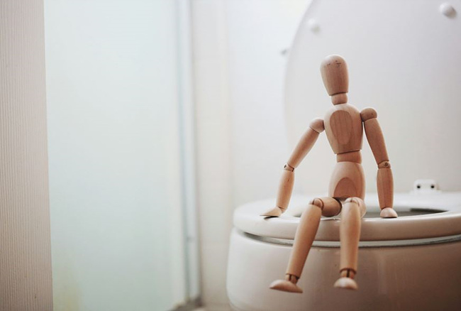 변기에 앉아있는 나무 모형 사진,출처: unsplash 제공