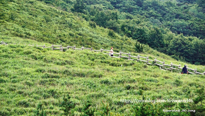 예쁜 등산로