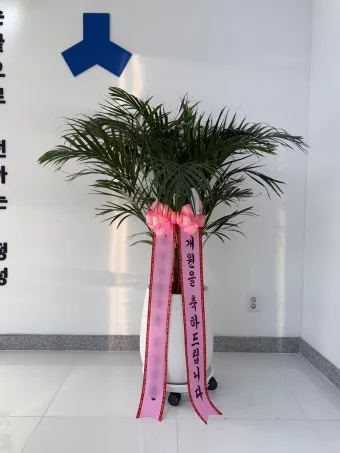 개업 축하 인사 화분 카드 문구 번창 기원 덕담 센스 있게_19