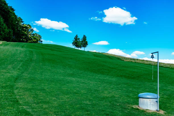 파크골프가 건강에 미치는 놀라운 효과