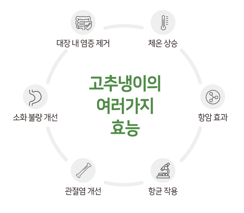 6시내고향 고추냉이 잎 꽃대 근경 생와사비 정가농원