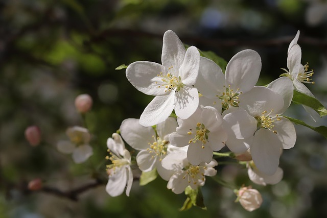 서울 구로구 가볼만한 곳