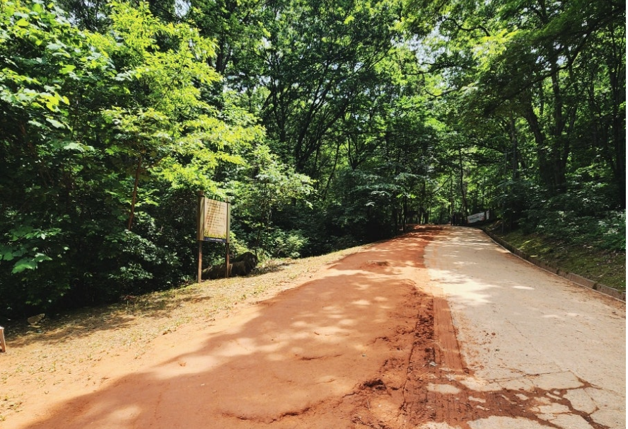 계족산 황토길 전경