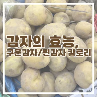 찐감자 효능 1개 칼로리 보관법 맛있게 먹는법_23