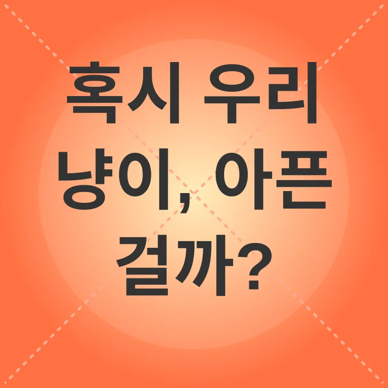 고양이 건강 관리_1