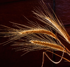 겨울철 타이어 적정 공기압