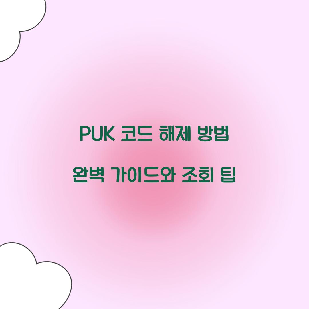 PUK 코드 해제 방법