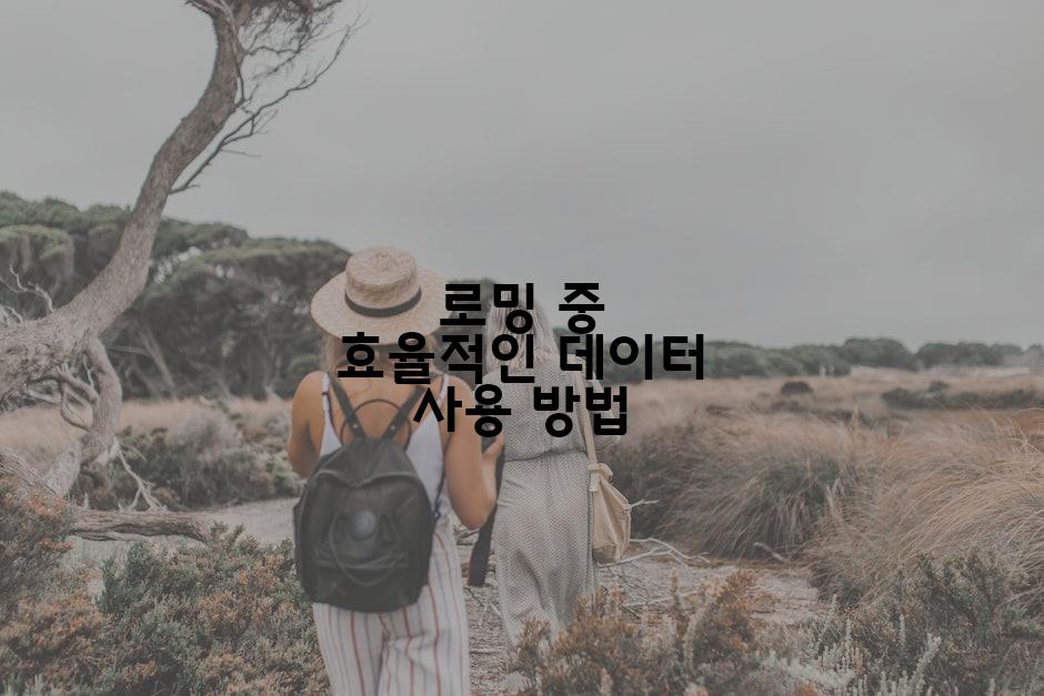 로밍 중 효율적인 데이터 사용 방법