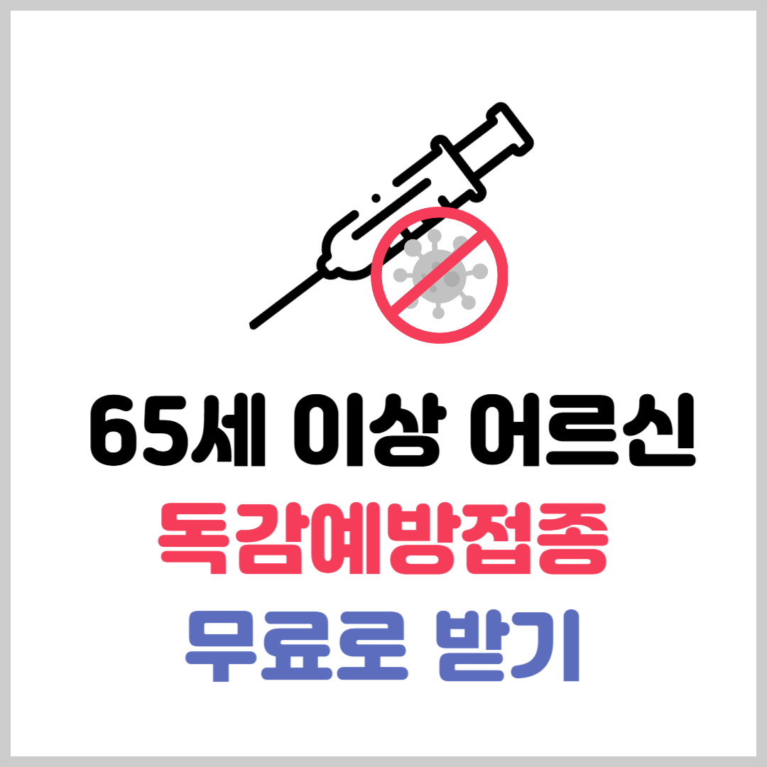어르신 독감예방접종 일정 및 안내