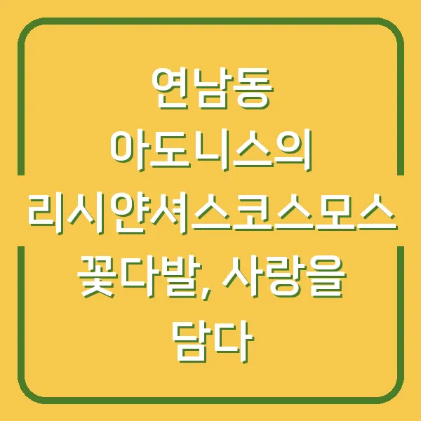 연남동 아도니스의 리시얀셔스코스모스 꽃다발, 사랑을 담다