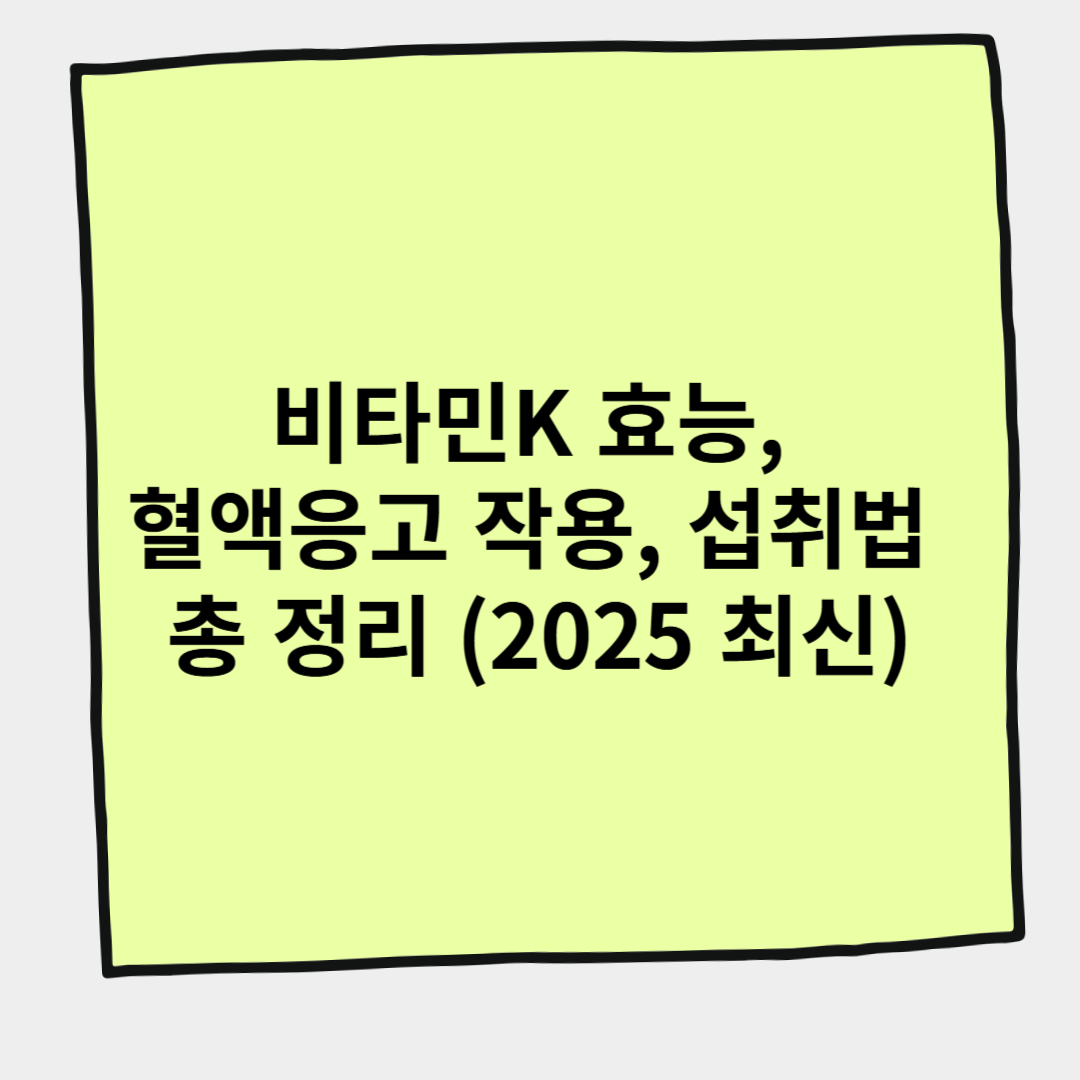 비타민K 효능, 혈액응고 작용, 섭취법 총 정리 (2025 최신)
