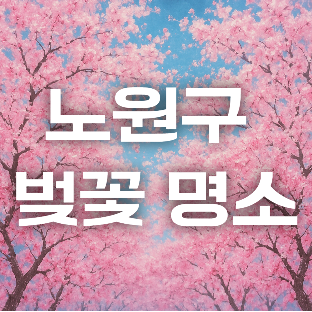 노원구 벚꽃 명소