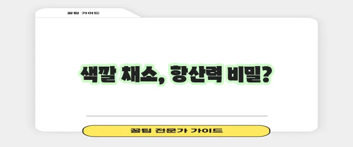 항산화 채소 종류 무엇이 가장 풍부할까요