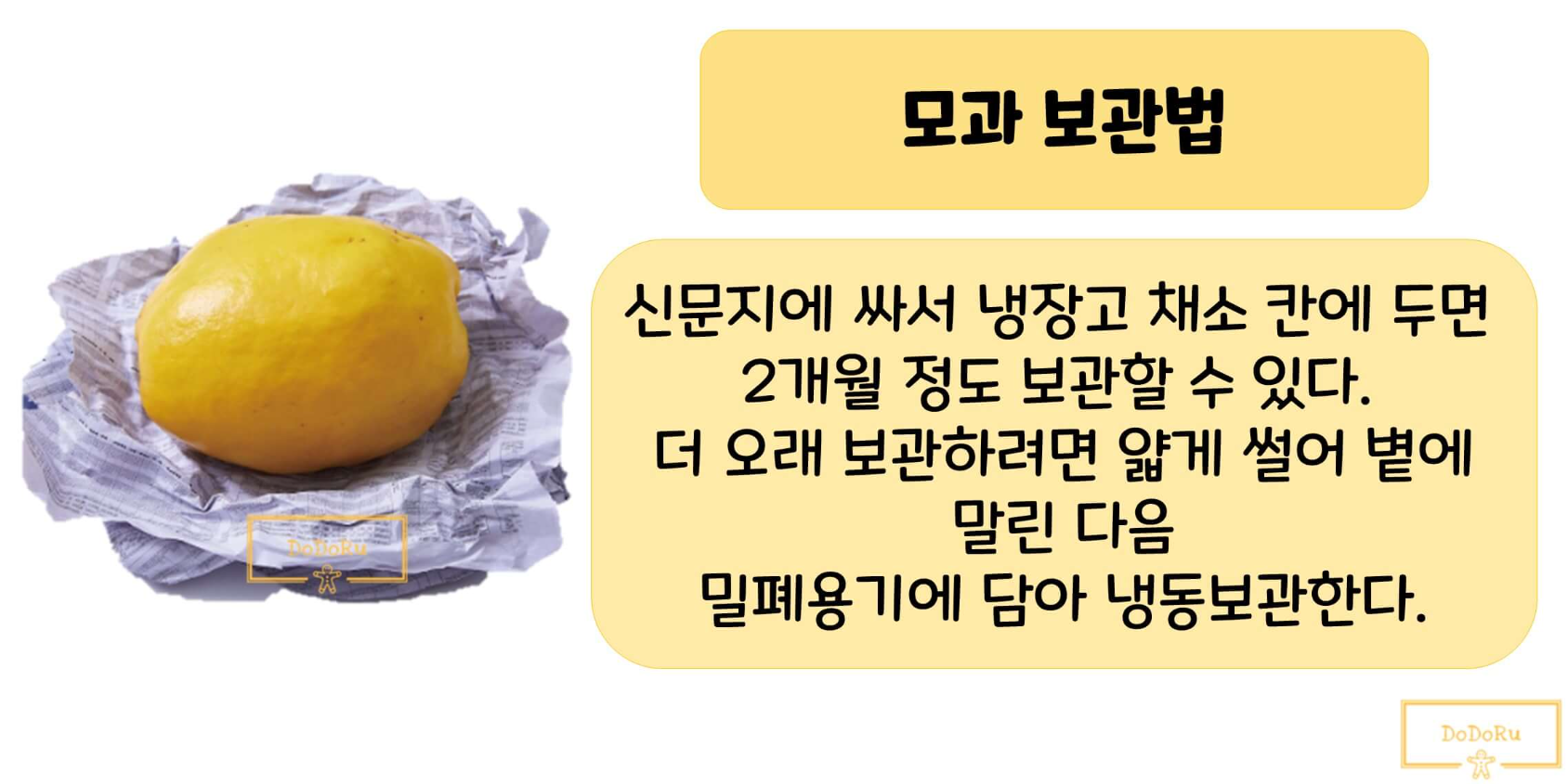 모과-보관방법