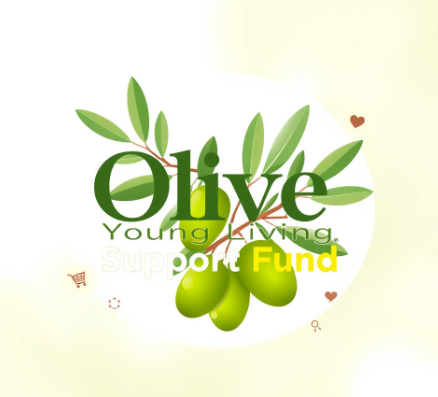 올리브영민생지원금그림