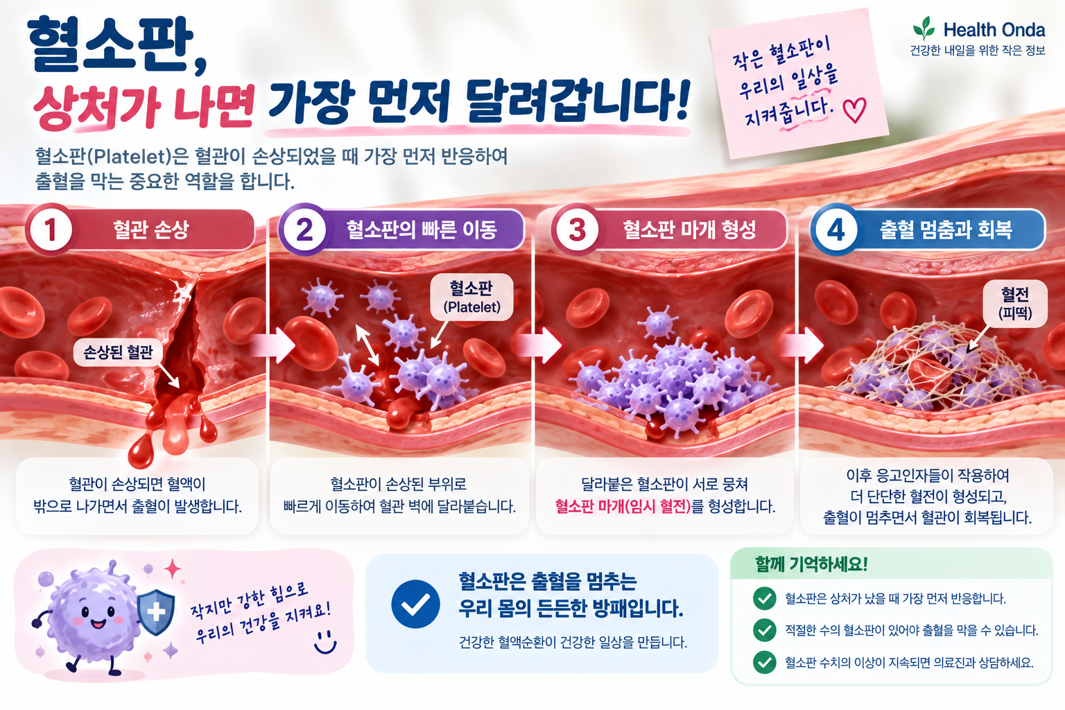 혈관 손상 후 혈소판 마개와 혈전이 만들어지는 과정을 설명한 그림