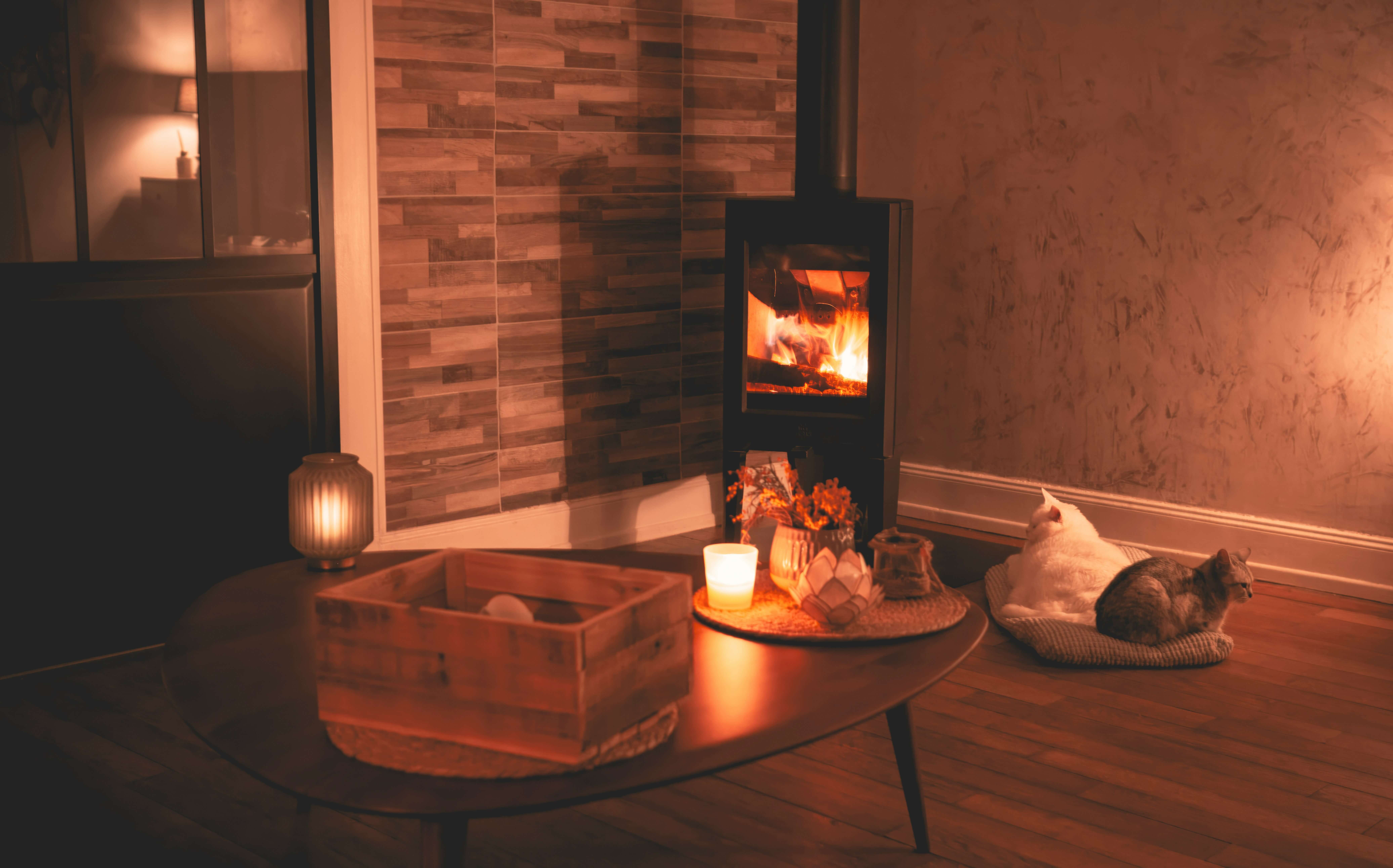 집