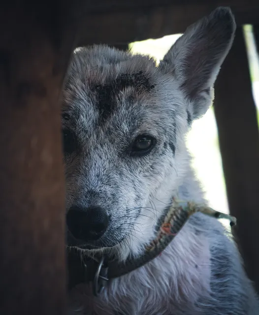 필리핀 클럽 바 안전하게 즐기기 필리핀 밤문화 완벽 가이드_4