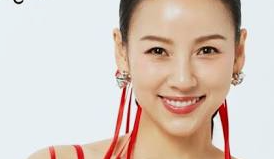 이효리의 레드카펫