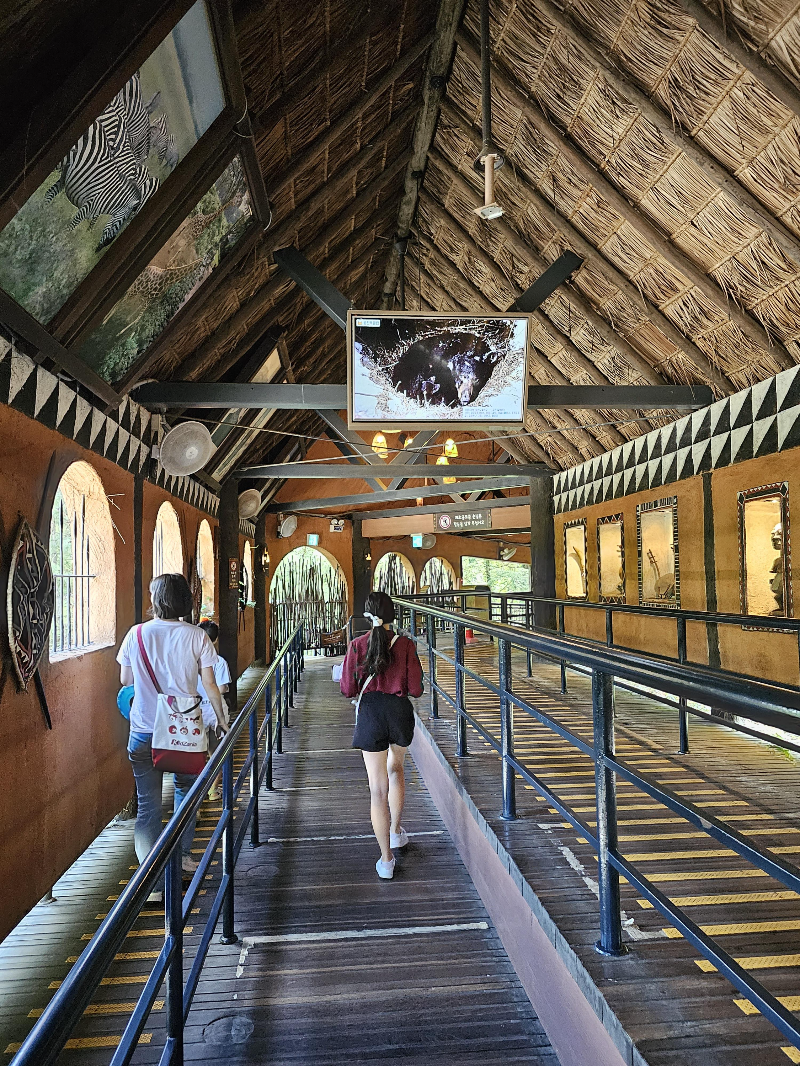 사파리월드 입장