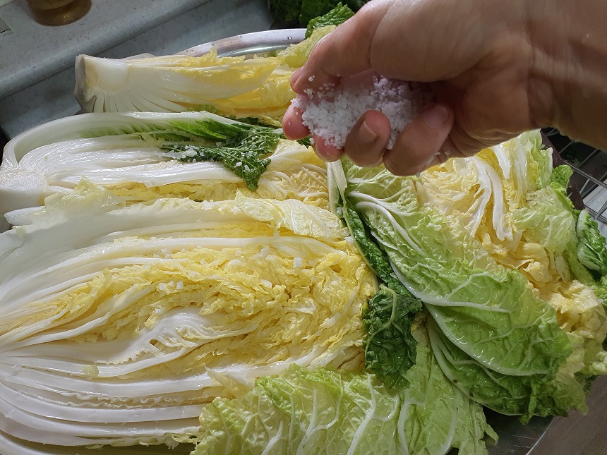 여름배추김치 담그기