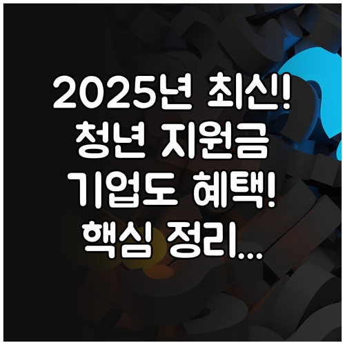 청년일자리도약장려금 2025 기업과 ..