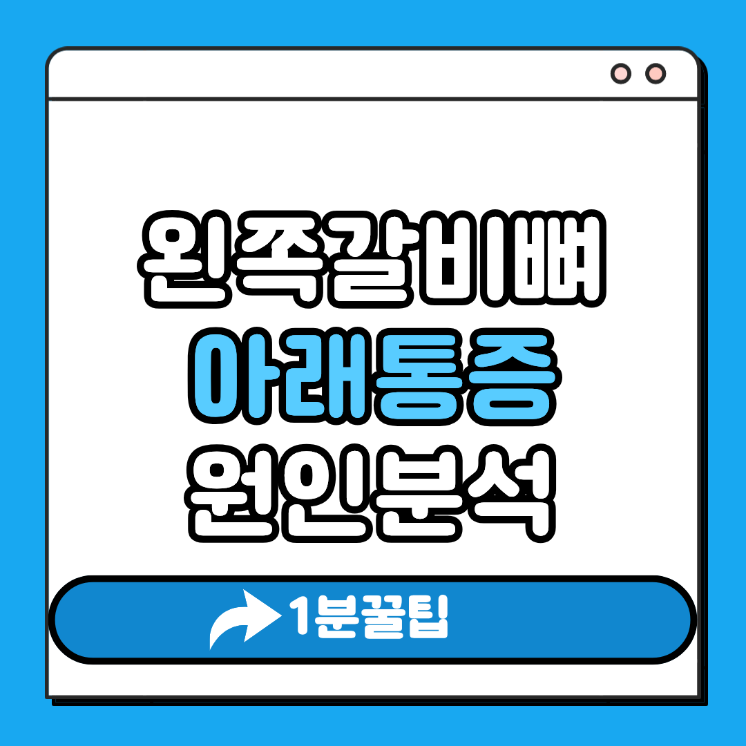 왼쪽갈비뼈