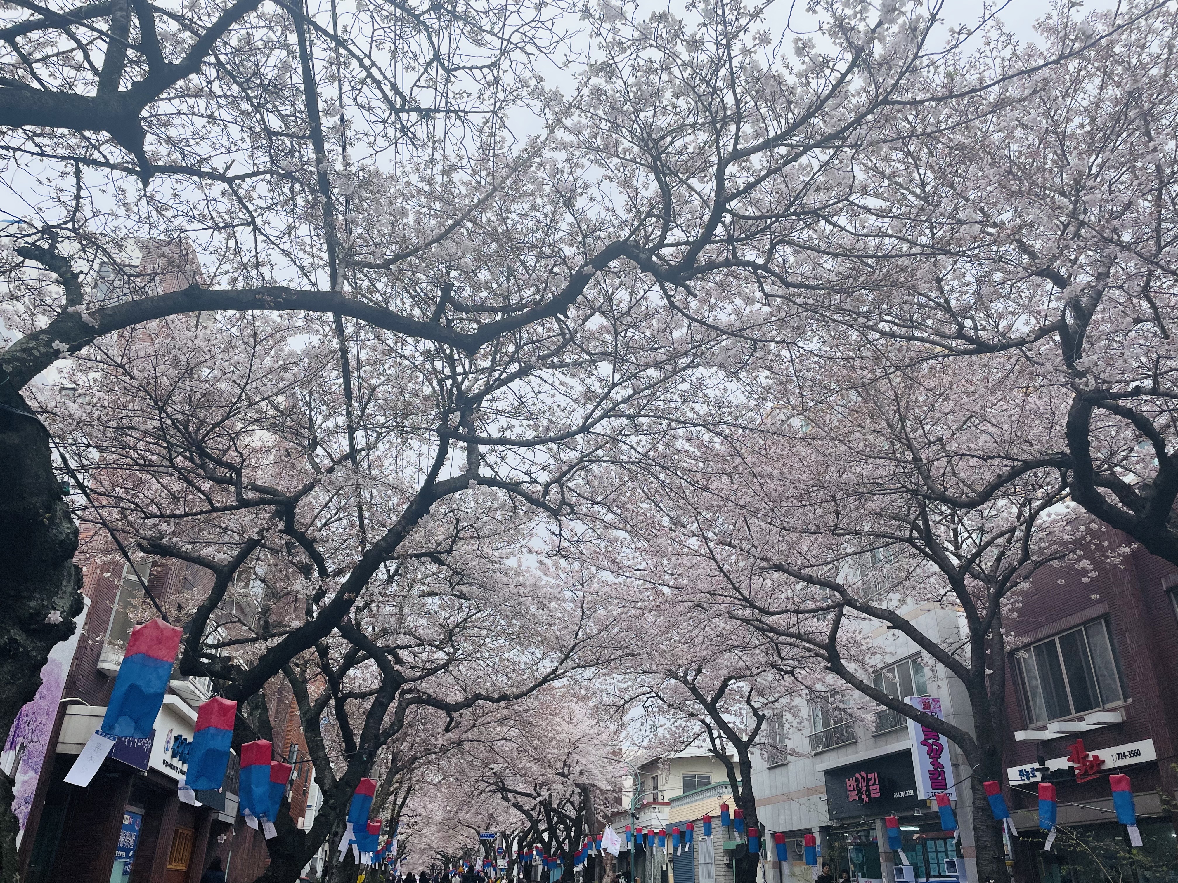 전농로