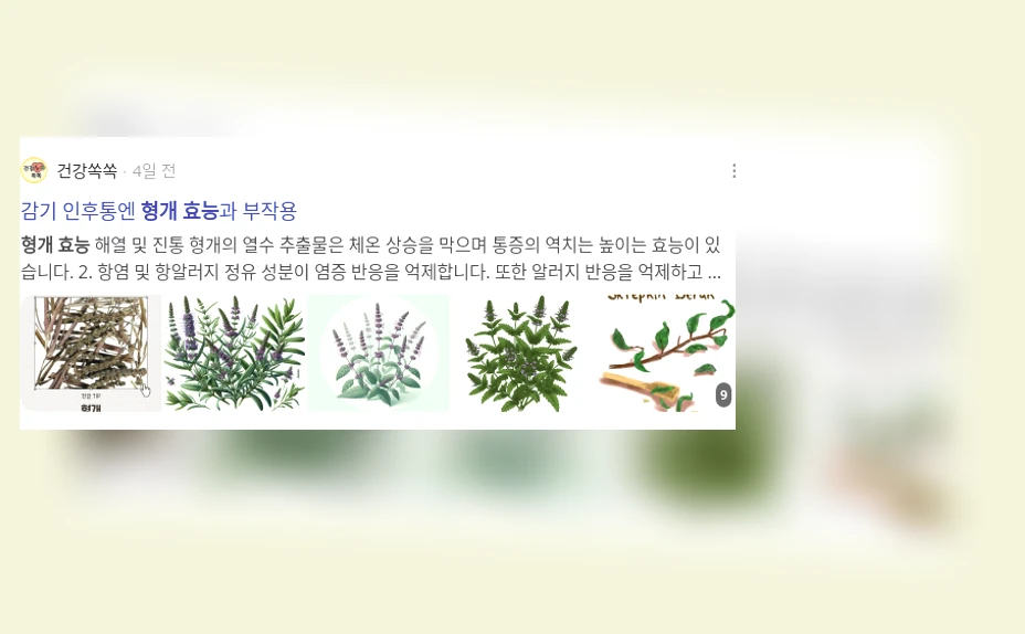 형개 효능_2_subsection