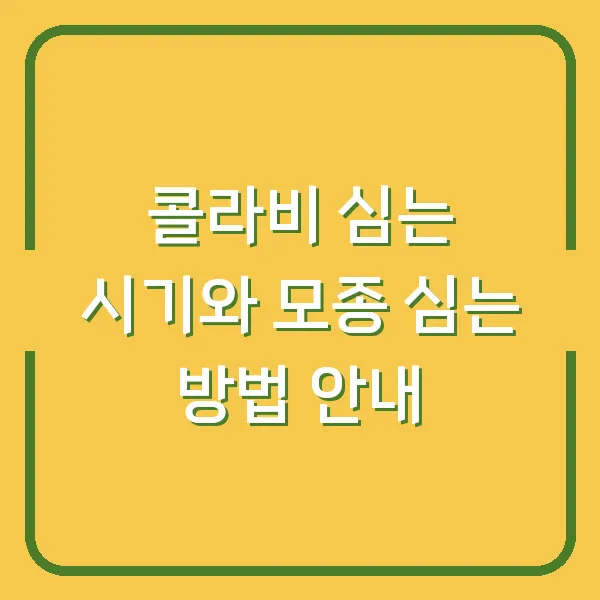 콜라비 심는 시기와 모종 심는 방법 안내
