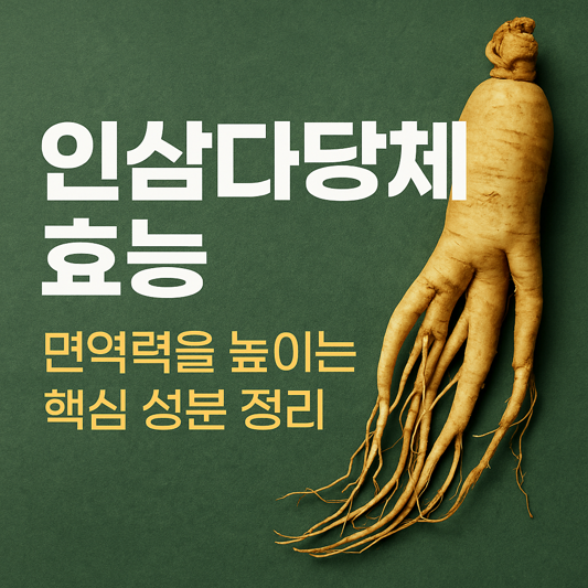 인삼다당체 효능, 면역력을 높이는 핵심 성분 정리