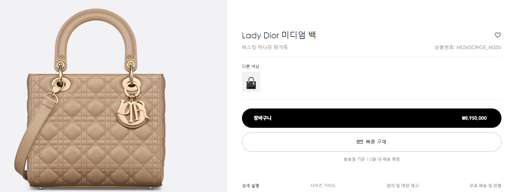 레이디디올_정보