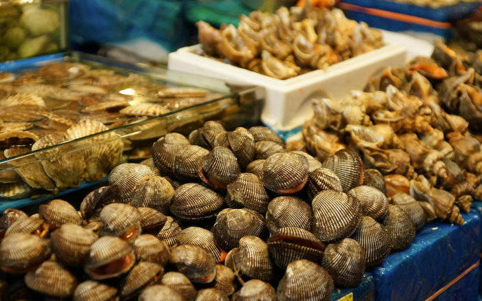 맛조개 사진 아닙니다. 수산시장 조개 사진입니다.