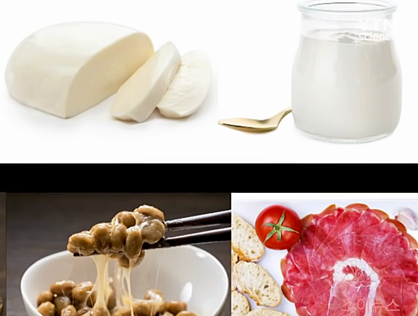 다양한 김치 이외의 발효식품들