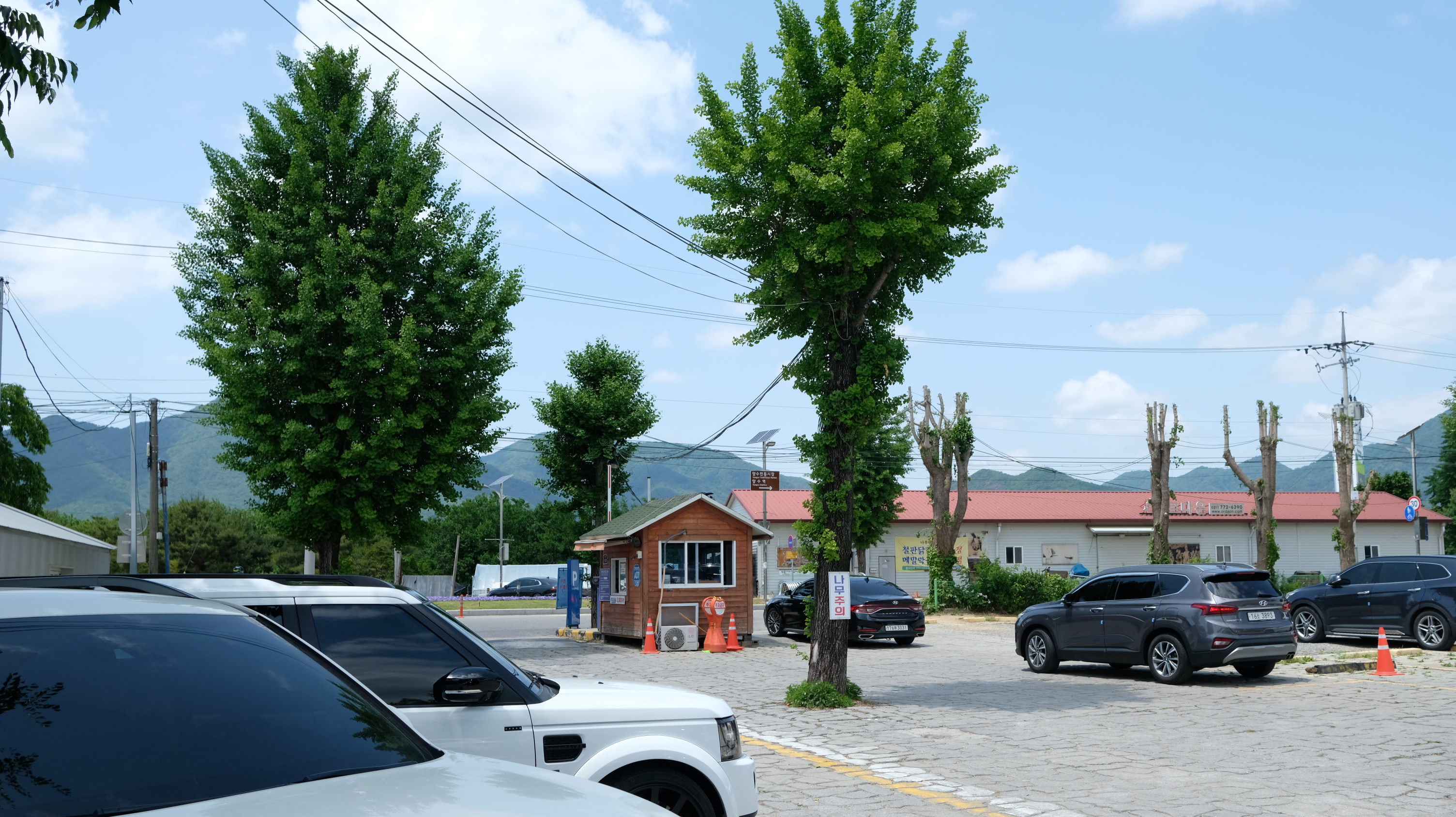 두물머리 느티나무 주차장